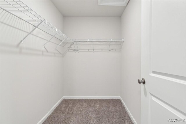 walk in closet featuring carpet flooring