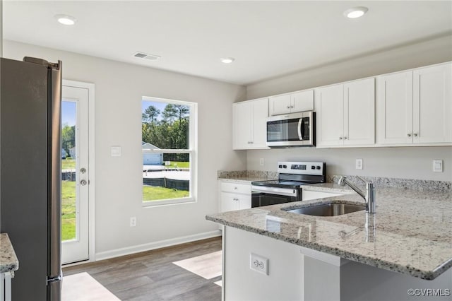 kitchen featuring light wood finished floors, stainless steel appliances, light stone countertops, and a sink