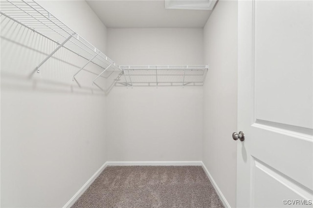 spacious closet with carpet
