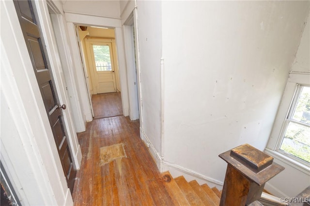 3220 Cliff Ave, Richmond, VA 23222 - hall with hardwood / wood-style flooring and healthy amount of natural light