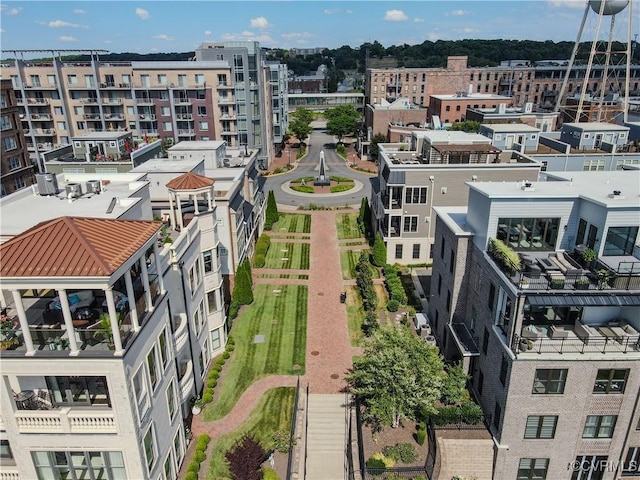 bird's eye view