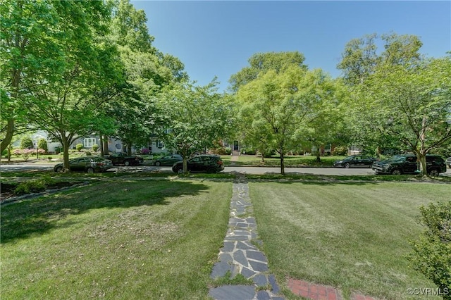 4821 W Seminary Ave, Richmond, VA 23227 - view of home's community featuring a lawn