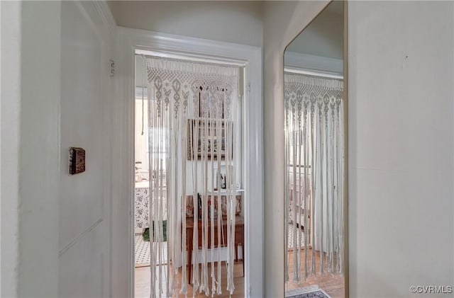 4821 W Seminary Ave, Richmond, VA 23227 - entryway featuring plenty of natural light