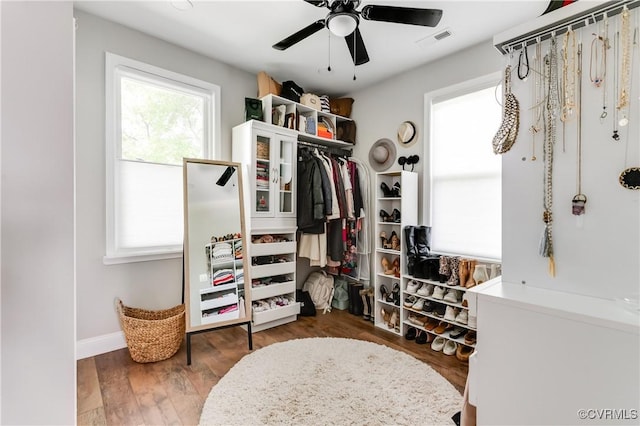 spacious closet with ceiling fan, wood finished floors, and visible vents