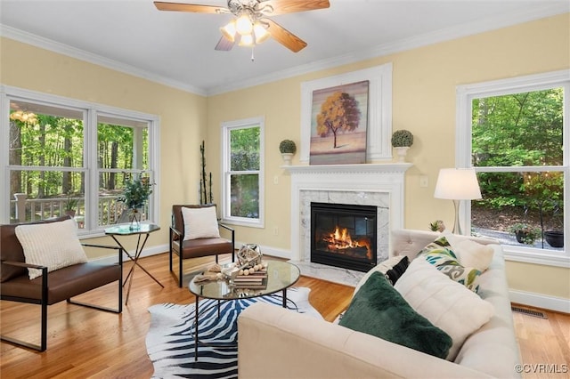 living area featuring ornamental molding and a wealth of natural light