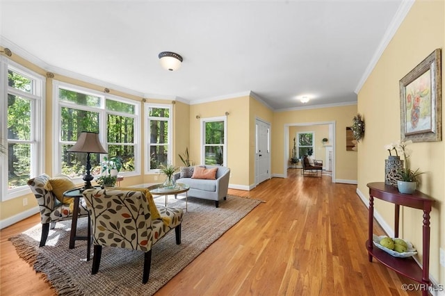 living area featuring crown molding, baseboards, and light wood-style flooring