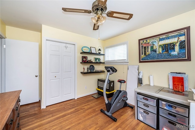 exercise room featuring a ceiling fan and light wood-type flooring