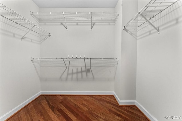 spacious closet featuring wood finished floors