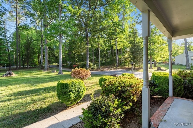 view of yard