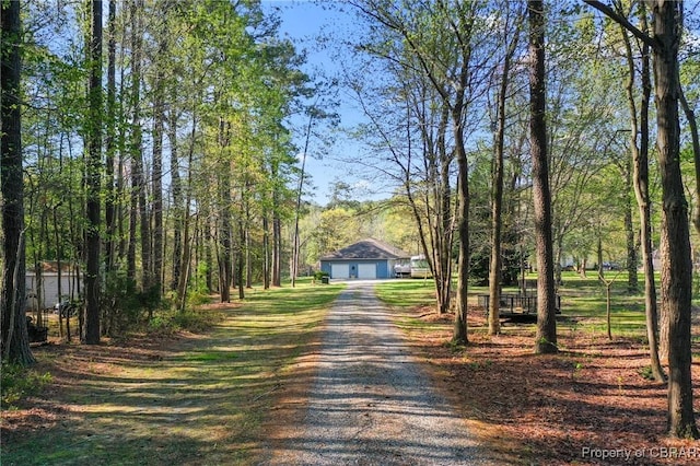 view of street with gravel driveway