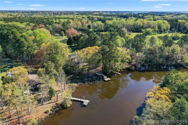 birds eye view of property with a forest view and a water view