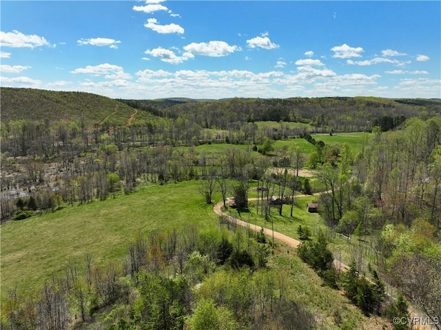 2632 Paisley Rd, Gretna, VA 24557 - photo 40