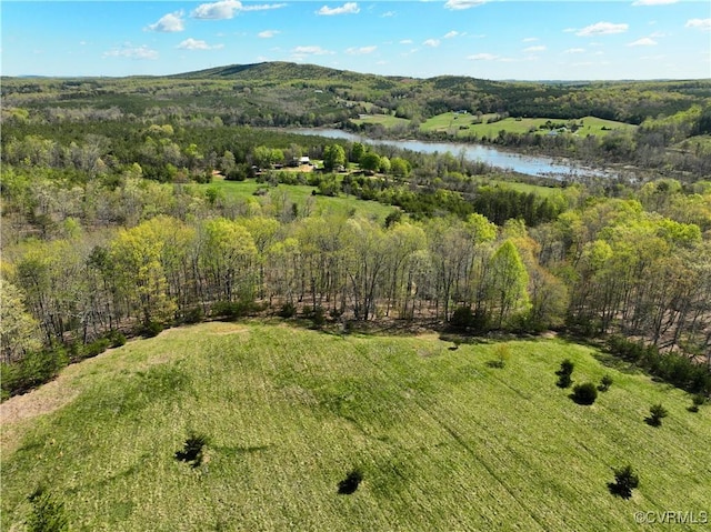 2632 Paisley Rd, Gretna, VA 24557 - photo 33