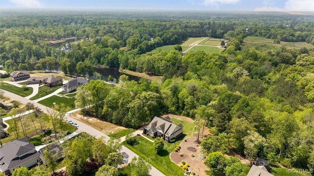 12712 Dell Hill Ct, Chesterfield, VA 23831 - bird's eye view with a wooded view and a water view