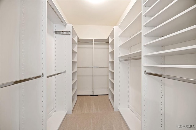 7208 Cornus Ave, Chesterfield, VA 23832 - spacious closet with light carpet