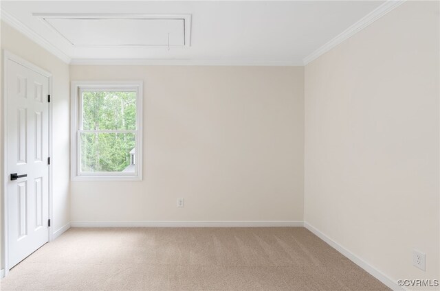 spare room with attic access, light colored carpet, baseboards, and crown molding