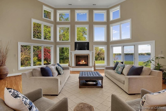 living room featuring light wood-type flooring, a high ceiling, and a wealth of natural light