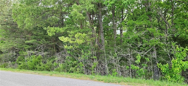 10-1 Good Hope Rd, Crewe, VA 23930