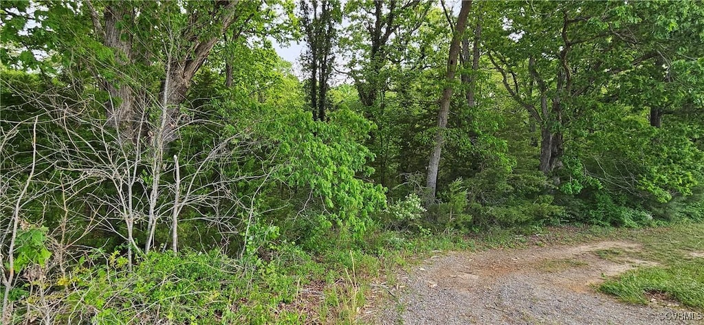 10-1 Good Hope Rd, Crewe, VA 23930