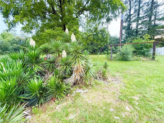3663 Old Buckingham Rd, Powhatan, VA 23139 - photo 27
