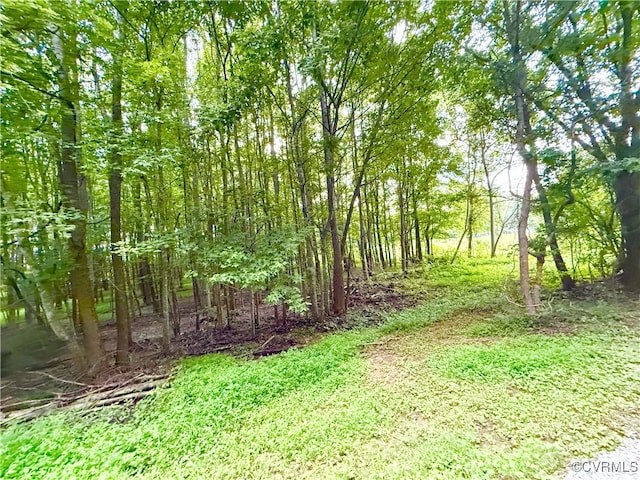 3663 Old Buckingham Rd, Powhatan, VA 23139 - photo 39