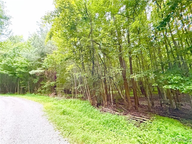 3663 Old Buckingham Rd, Powhatan, VA 23139 - photo 40