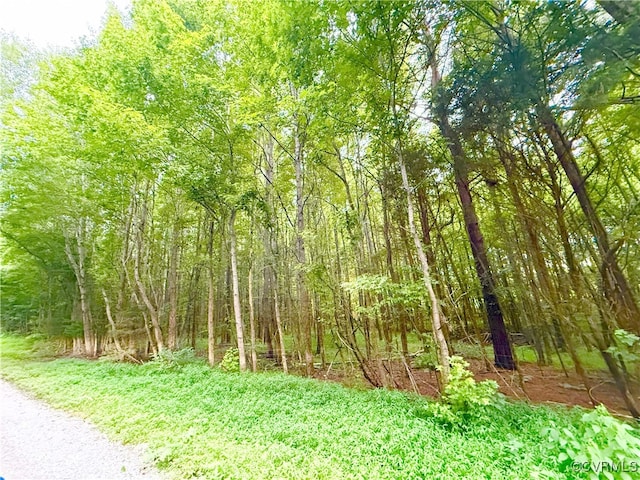 3663 Old Buckingham Rd, Powhatan, VA 23139 - photo 41