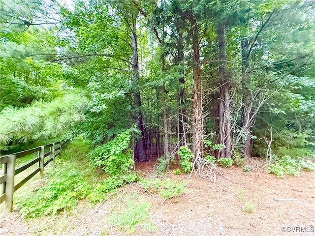 3663 Old Buckingham Rd, Powhatan, VA 23139 - photo 42
