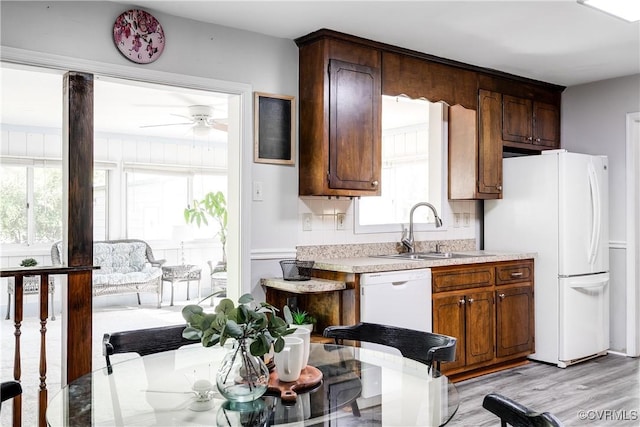 kitchen with white appliances, ceiling fan, light countertops, a sink, and light wood-style flooring