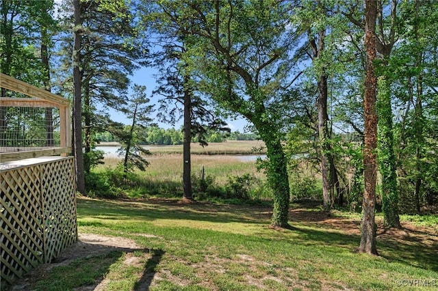 905 Wakefield Ave, Tappahannock, VA 22560 - photo 13