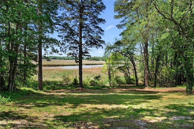 905 Wakefield Ave, Tappahannock, VA 22560 - photo 43