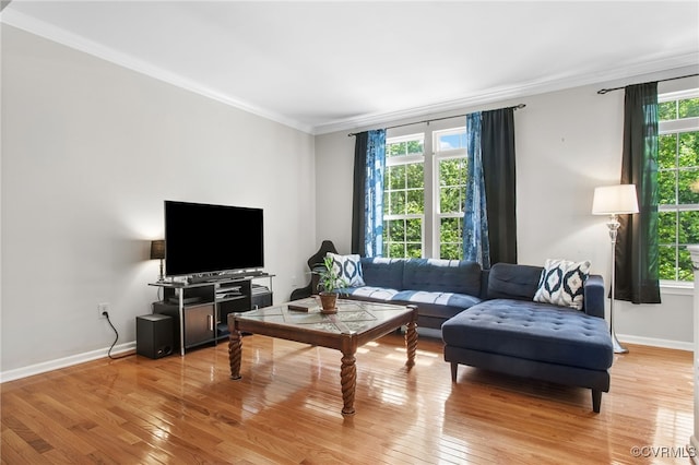 living room featuring baseboards, ornamental molding, a healthy amount of sunlight, and light wood-type flooring