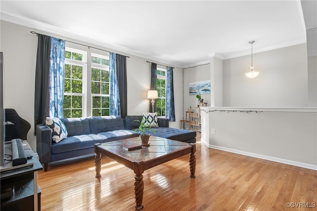 living room with ornamental molding and light wood-type flooring