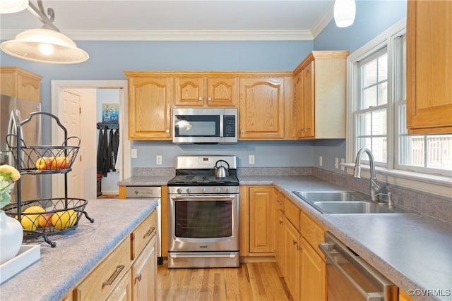 13032 Beech Creek Ln, Ashland, VA 23005 - kitchen featuring appliances with stainless steel finishes, a sink, ornamental molding, light wood-style flooring, and light countertops