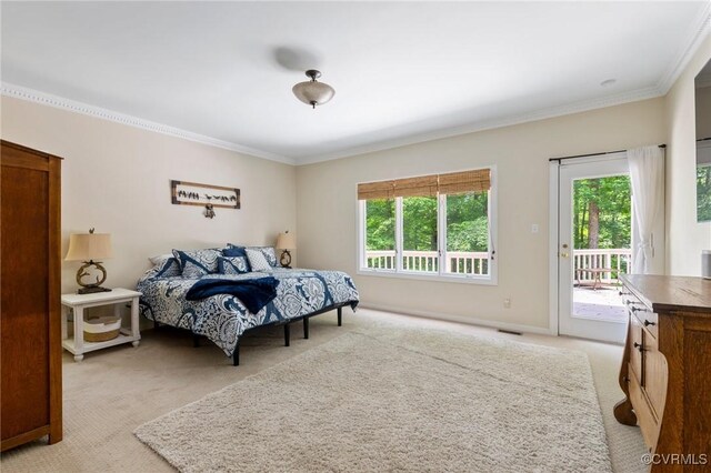 36 Dahlgren Rd, Richmond, VA 23238 - photo 25