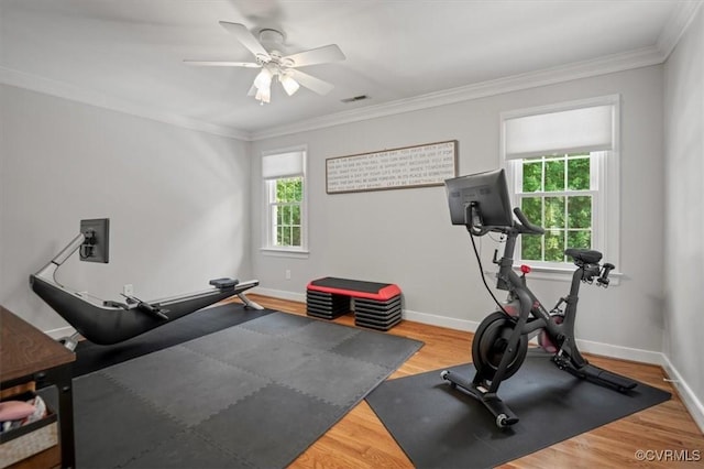 exercise area featuring wood finished floors, visible vents, baseboards, ceiling fan, and ornamental molding