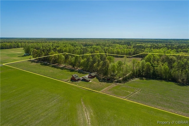 bird's eye view with a wooded view and a rural view