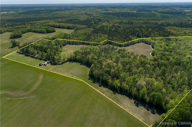 bird's eye view with a forest view
