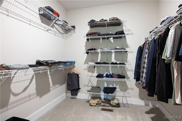 spacious closet featuring carpet floors and visible vents