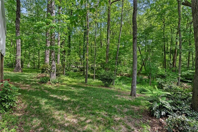 view of yard featuring a wooded view