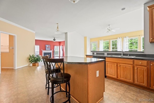 156 Hawk Nest Ct, Richmond, VA 23227 - kitchen featuring a ceiling fan, a sink, a center island, a kitchen breakfast bar, and open floor plan