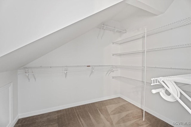 156 Hawk Nest Ct, Richmond, VA 23227 - spacious closet with carpet floors and vaulted ceiling