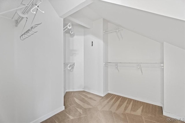 156 Hawk Nest Ct, Richmond, VA 23227 - spacious closet with carpet