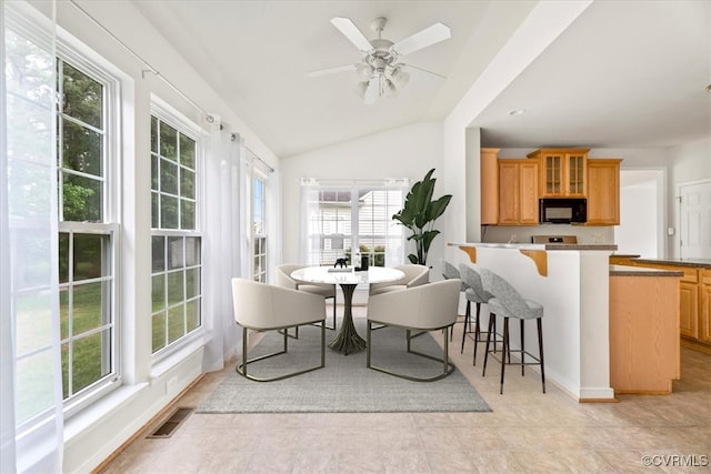 156 Hawk Nest Ct, Richmond, VA 23227 - dining room with plenty of natural light, lofted ceiling, and a ceiling fan