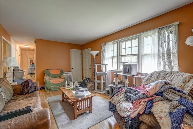 living room with wood finished floors