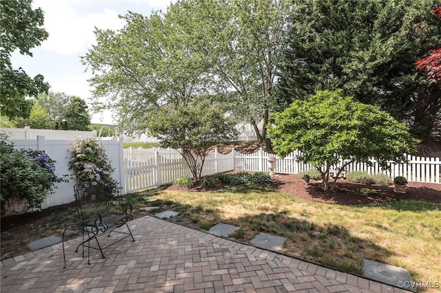 view of yard with a patio and a fenced backyard