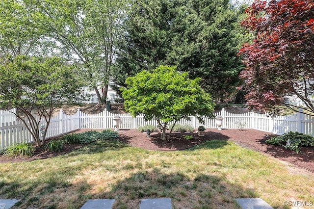 view of yard featuring fence private yard