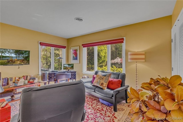 555 Rio Vis, Irvington, VA 22576 - living area featuring visible vents and a wealth of natural light