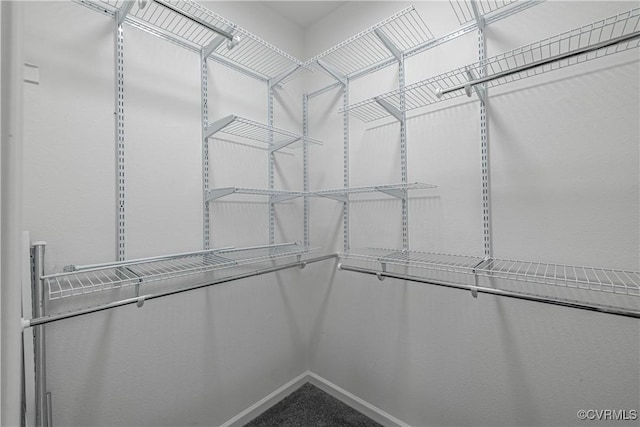 view of walk in closet
