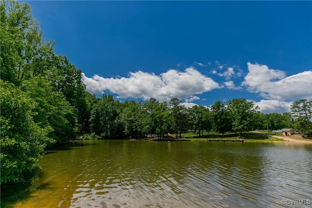 10 Mahon, Ruther Glen, VA 22546 - water view